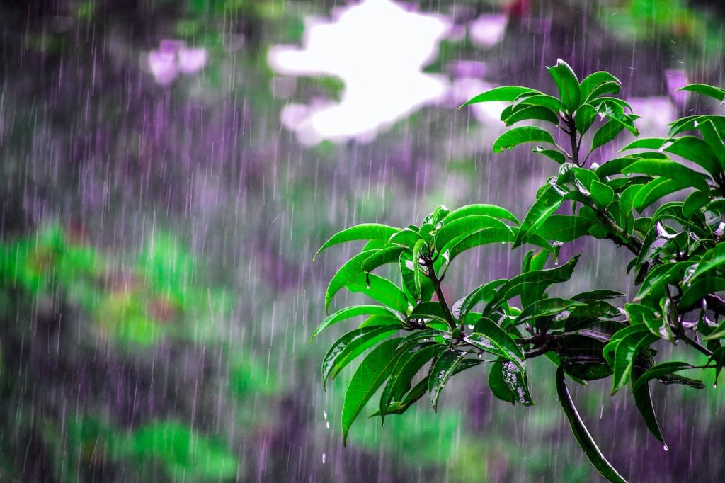 How is artificial rain produced, how does it help tackle air pollution